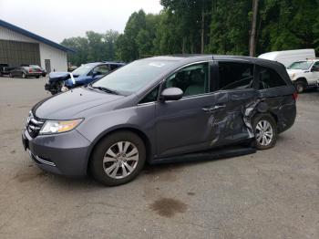  Salvage Honda Odyssey