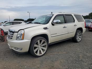  Salvage Cadillac Escalade