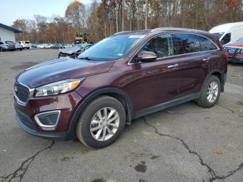  Salvage Kia Sorento