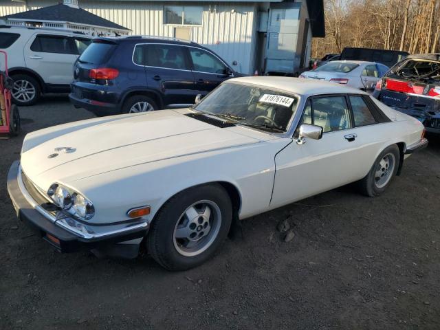  Salvage Jaguar Xjs