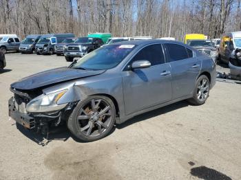  Salvage Nissan Maxima