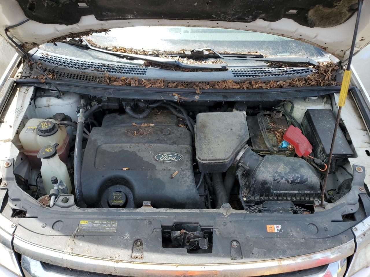 Ford Edge Sel Image 11