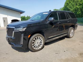  Salvage Cadillac Escalade
