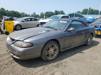  Salvage Ford Mustang