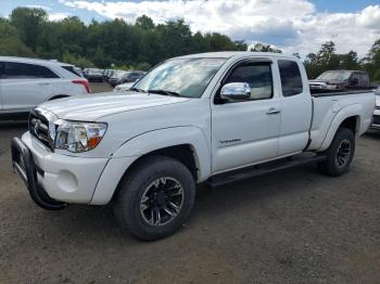  Salvage Toyt Tacoma