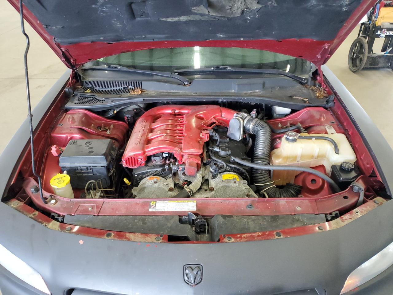 Dodge Charger Sxt Image 8