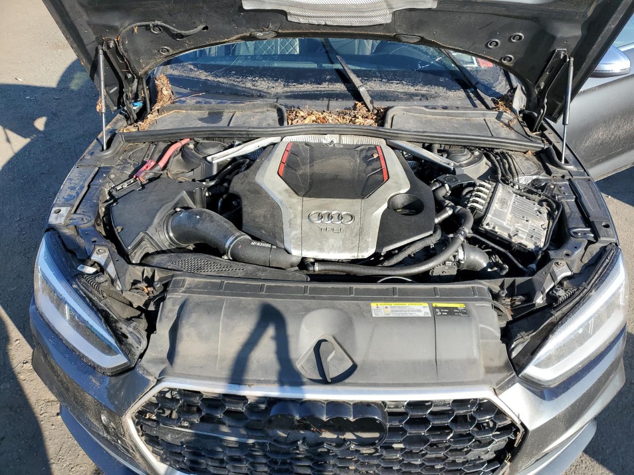 Audi S5 Premium Plus Image 2