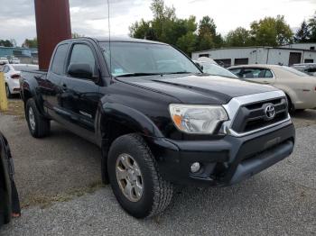  Salvage Toyt Tacoma