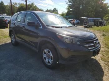  Salvage Hond Crv