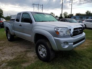  Salvage Toyt Tacoma