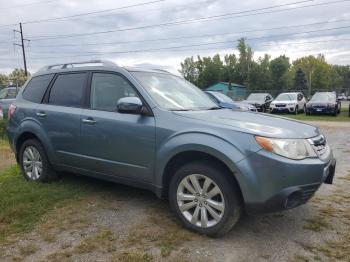  Salvage Suba Forester