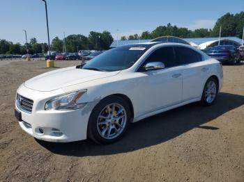  Salvage Nissan Maxima