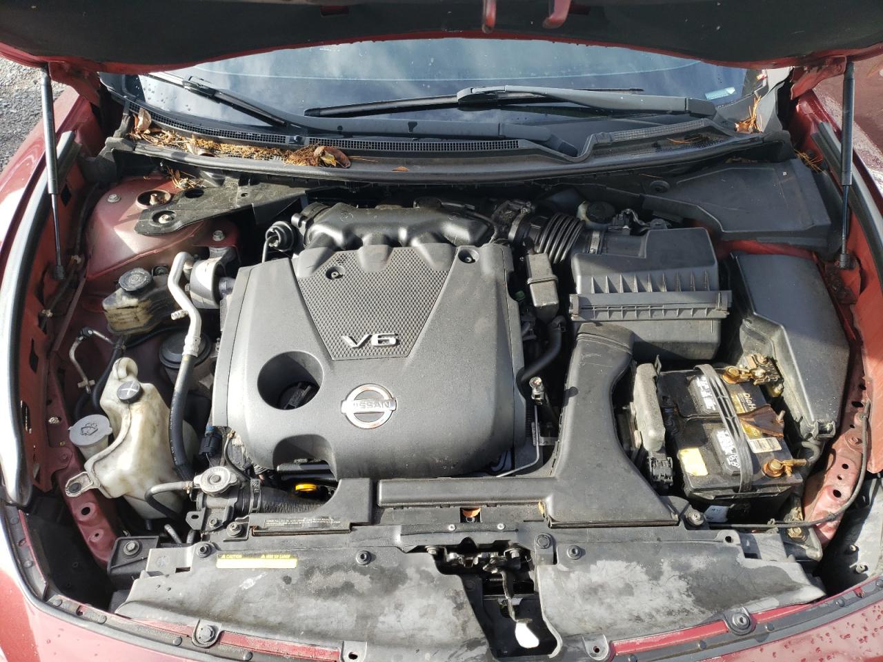 Nissan Maxima S Image 6