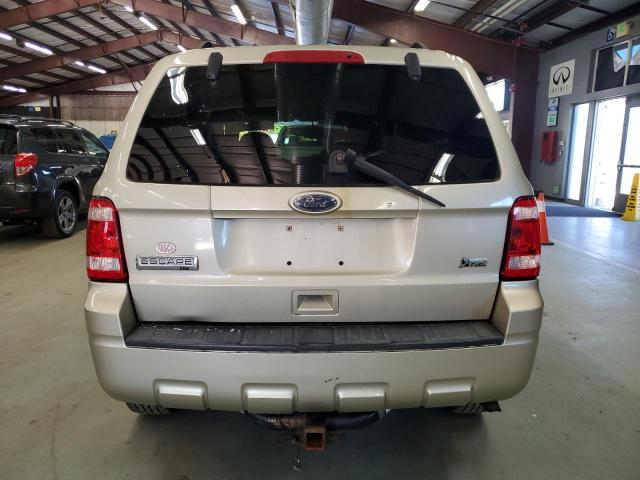 Ford Escape Xlt Image 3