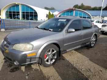 Salvage Nissan Maxima