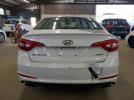 Hyundai SONATA Sport Image 4