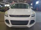 Ford Escape Se Image 5