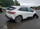 Ford Escape Sel Image 9