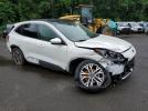 Ford Escape Sel Image 10