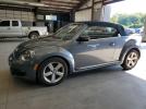 Volkswagen Beetle Image 1