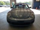 Volkswagen Beetle Image 5