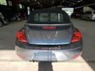 Volkswagen Beetle Image 6