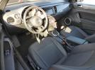 Volkswagen Beetle Image 7