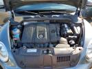Volkswagen Beetle Image 11