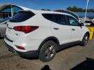 Hyundai SANTA FE Image 3