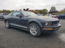 Ford Mustang Image 4