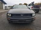 Ford Mustang Image 6