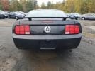Ford Mustang Image 8