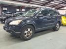Honda Crv Lx Image 1