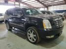 Cadillac Escalade Premium Image 3