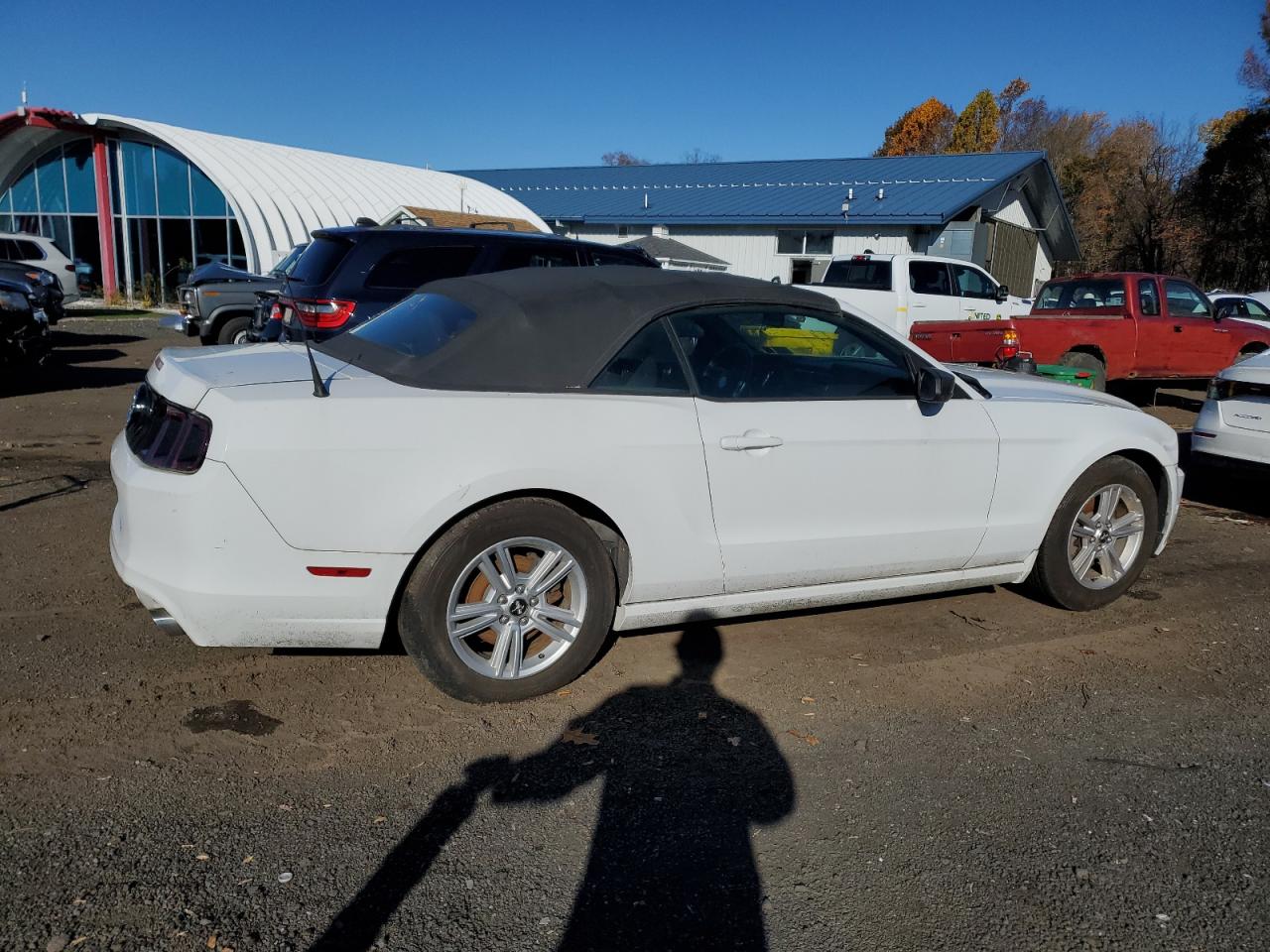 Ford Mustang Image 2