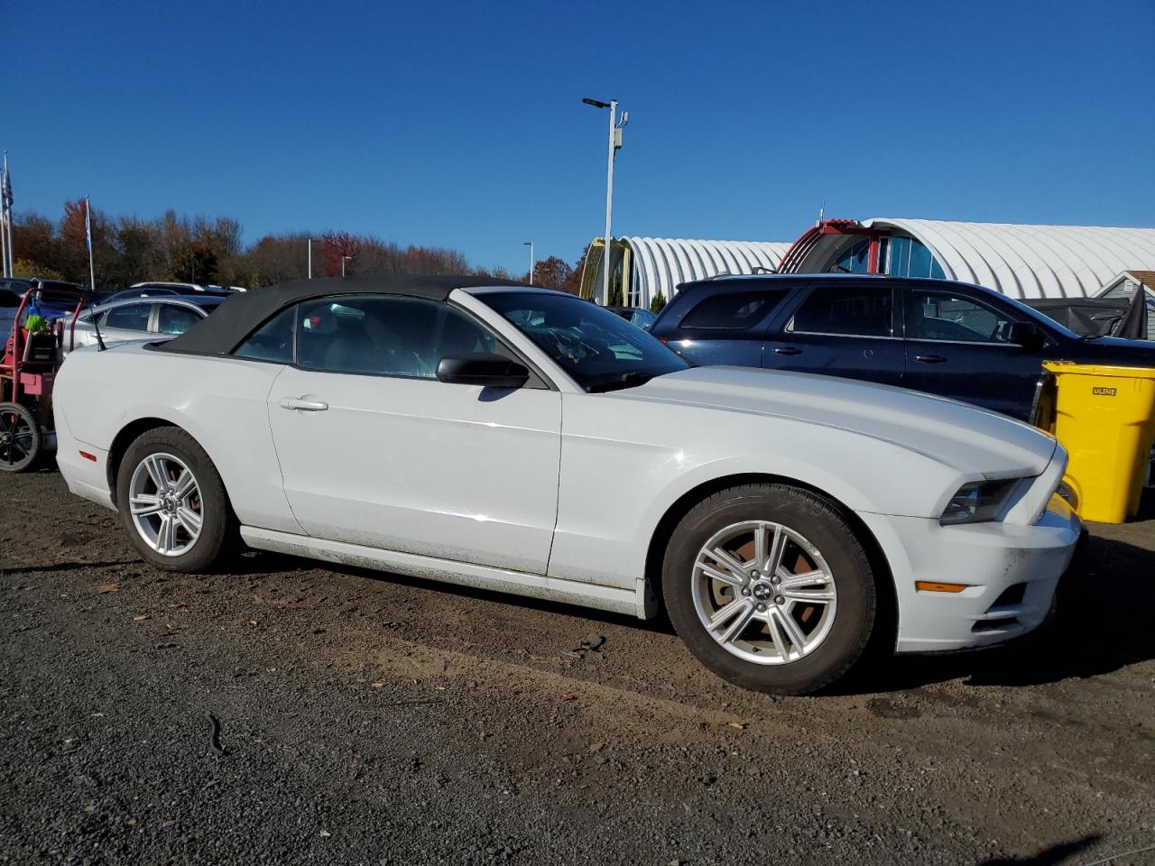 Ford Mustang Image 6