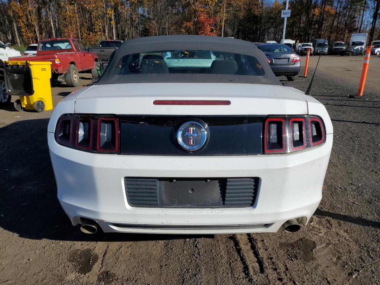 Ford Mustang Image 4