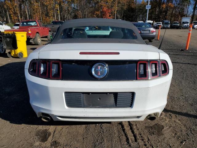 Ford Mustang Image 4