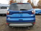 Ford Escape Sel Image 8