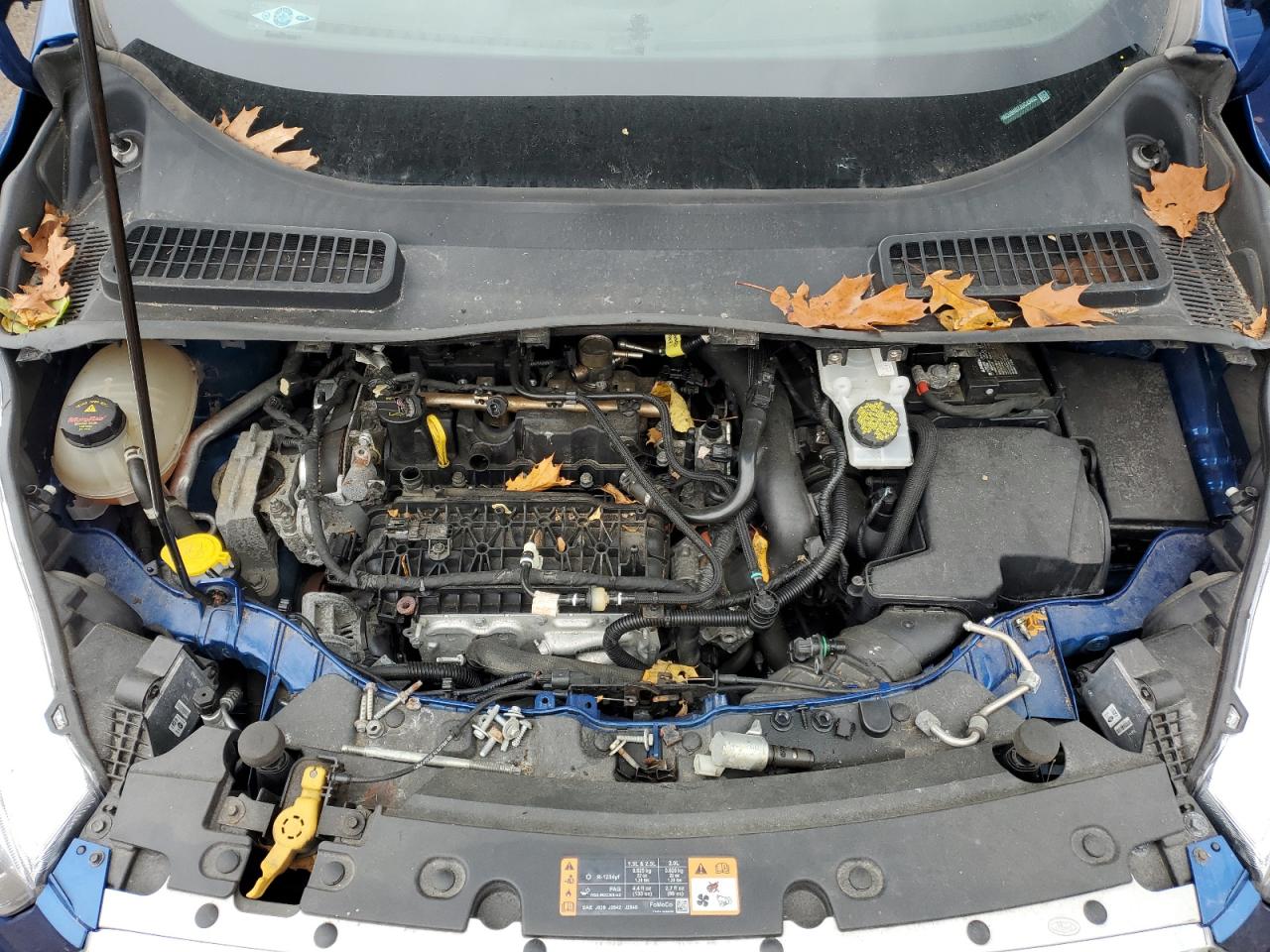 Ford Escape Sel Image 13