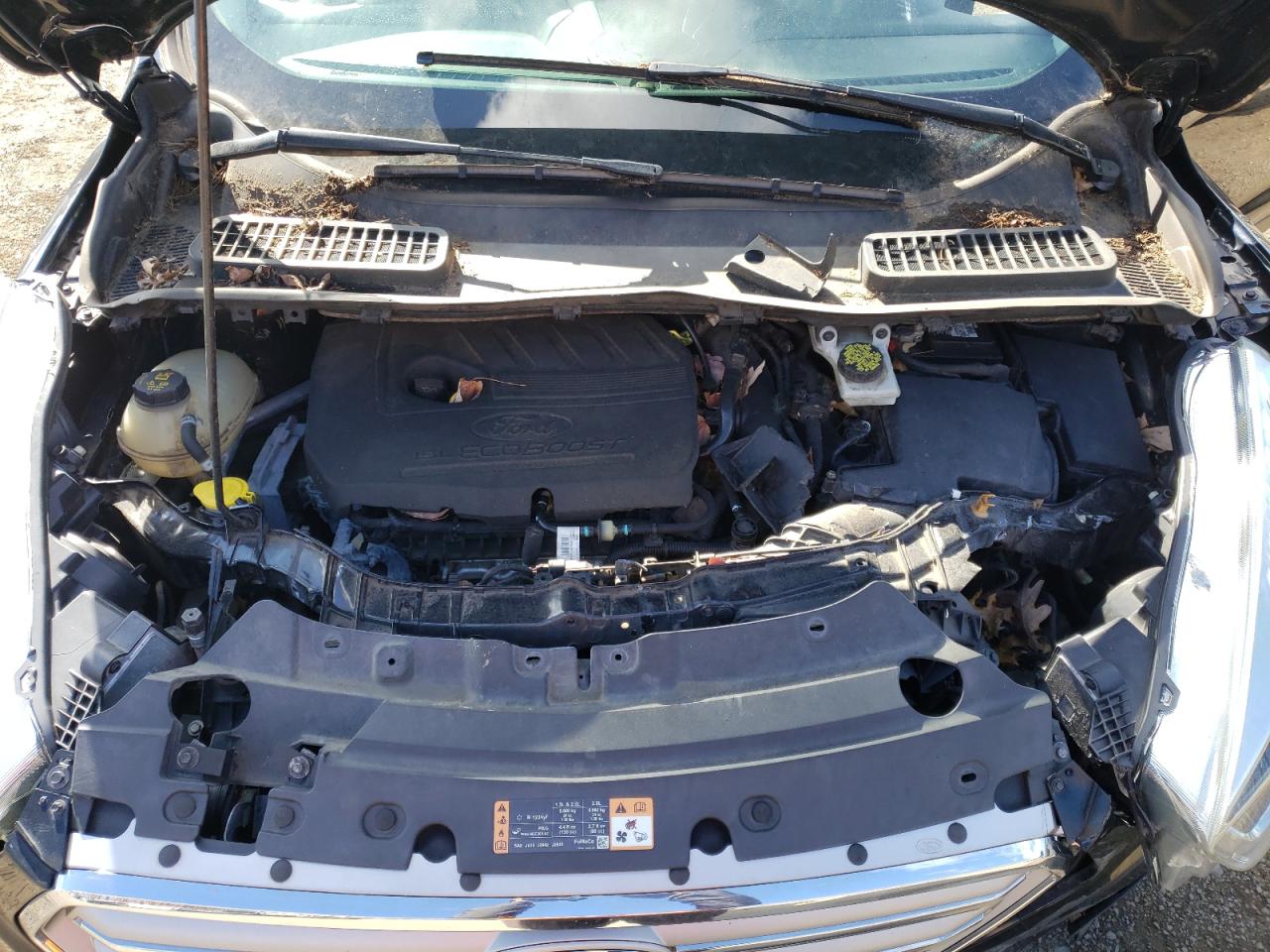 Ford Escape Se Image 13