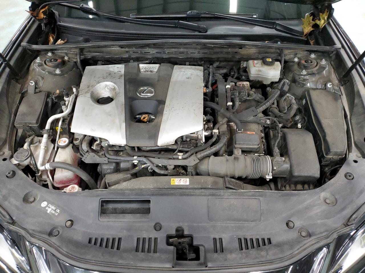 Lexus Es 300h Image 6