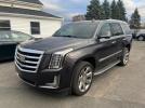 Cadillac Escalade Luxury Image 1