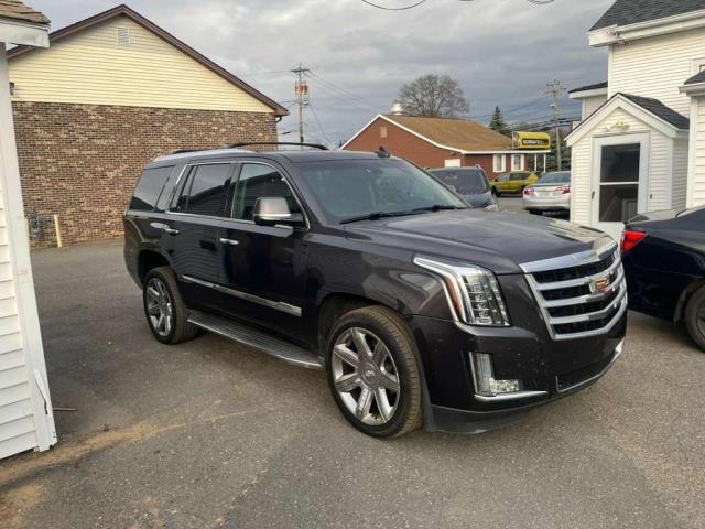 Cadillac Escalade Luxury Image 3