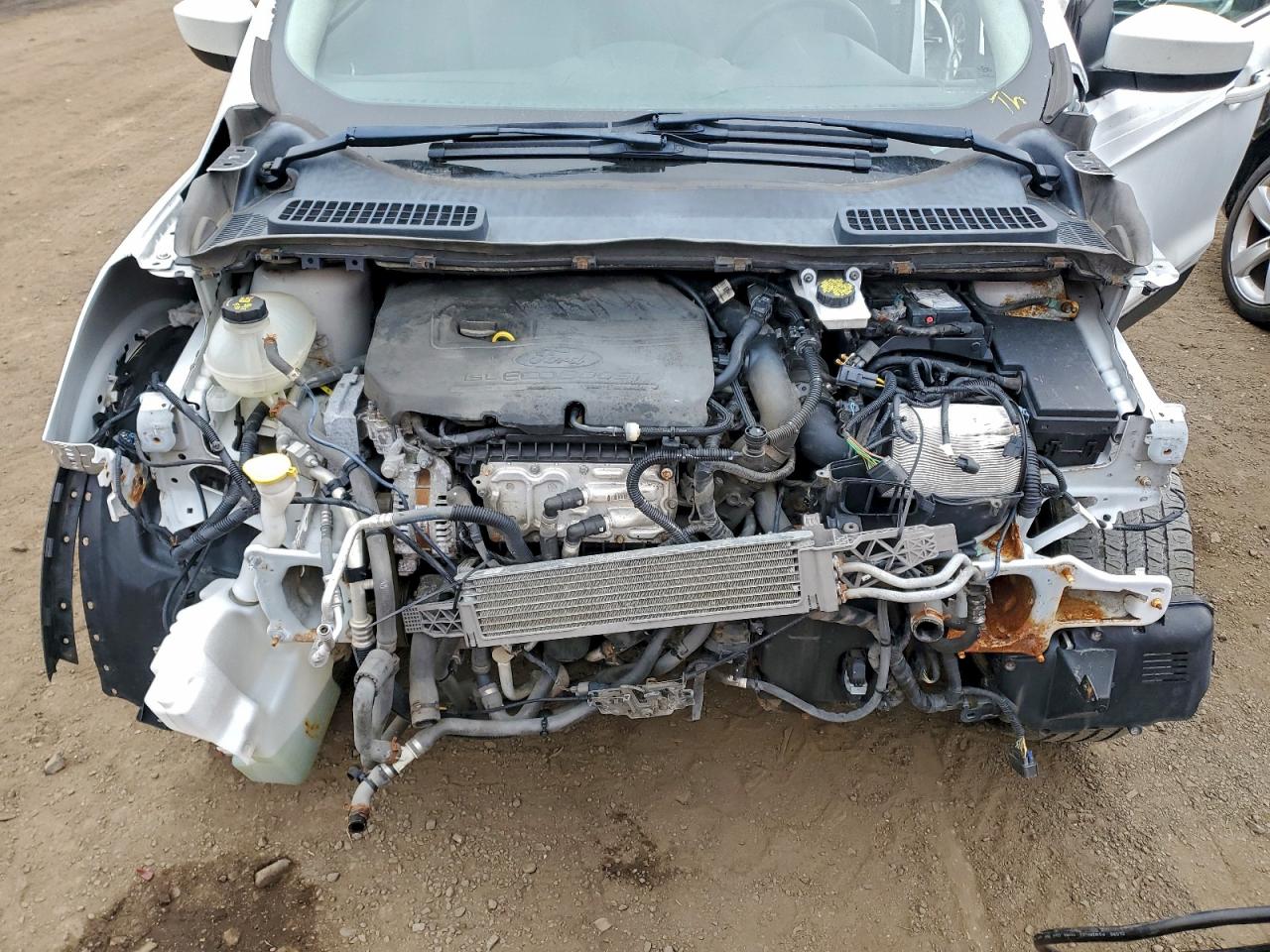 Ford Escape Se Image 6