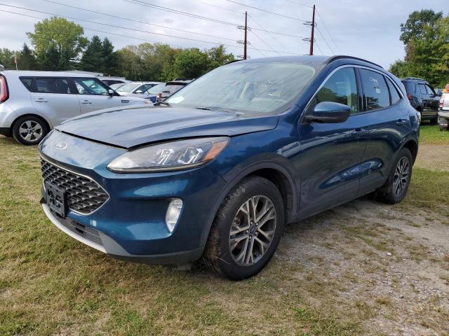 Ford Escape Sel Image 4