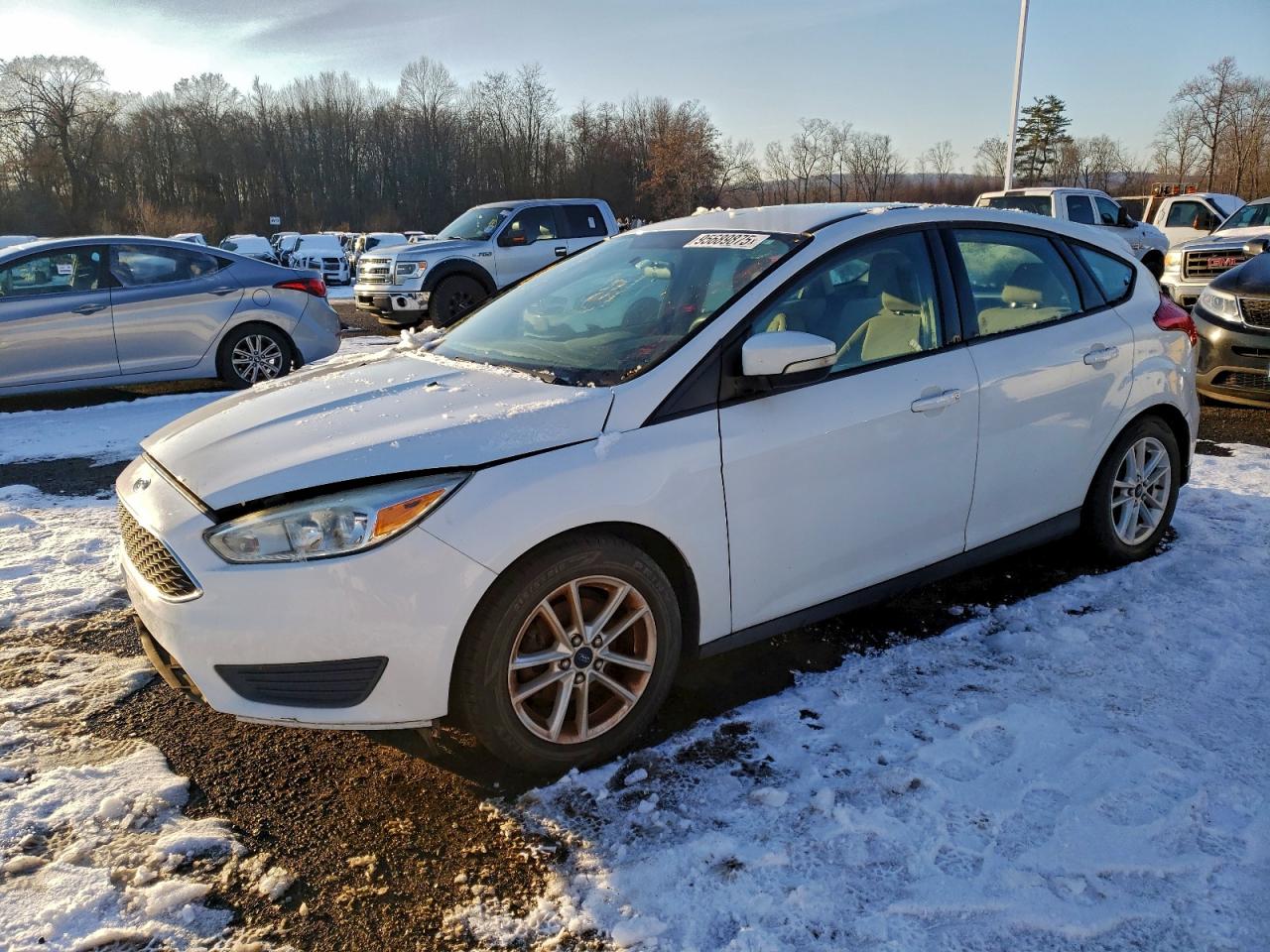 Ford Focus Se Image 1