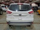 Ford Escape Se Image 5