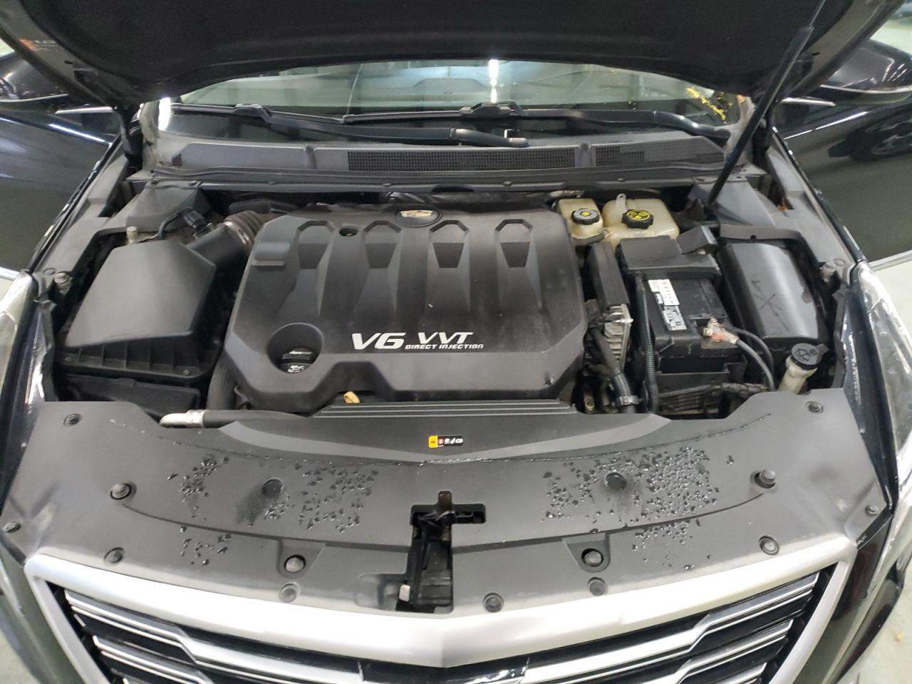 Cadi XTS Luxury Image 7