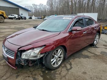  Salvage Nissan Maxima